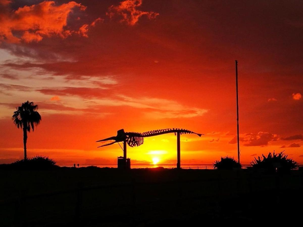 Arena Y Calma Jandia Con Aire Acondicionado Lägenhet Morro Jable  Exteriör bild